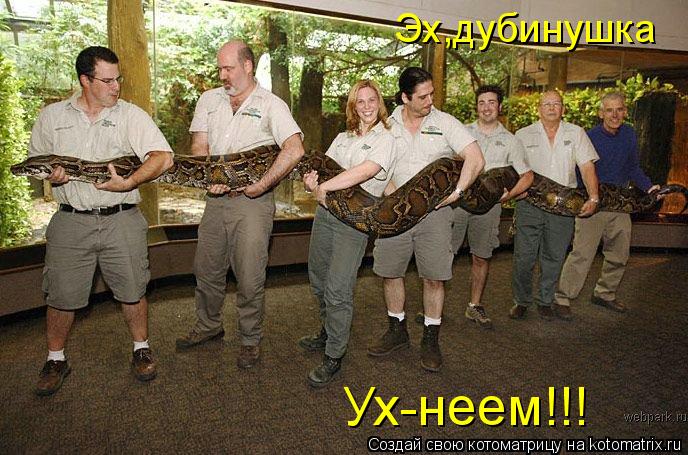 Эх,дубинушка Ух-неем!!!... Котоматрица: Эх,дубинушка Ух-неем!!!