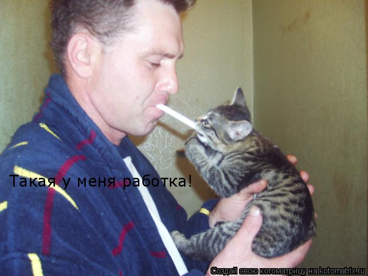 Такая у меня работка!... Котоматрица: Такая у меня работка!