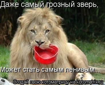 Даже самый грозный зверь, Может стать самым ленивым...... Котоматрица: Даже самый грозный зверь, Может стать самым ленивым...