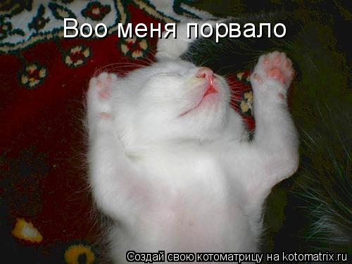 Воо меня порвало... Котоматрица: Воо меня порвало