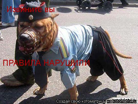 Извините вы ПРАВИЛА НАРУШИЛИ... Котоматрица: Извините вы ПРАВИЛА НАРУШИЛИ