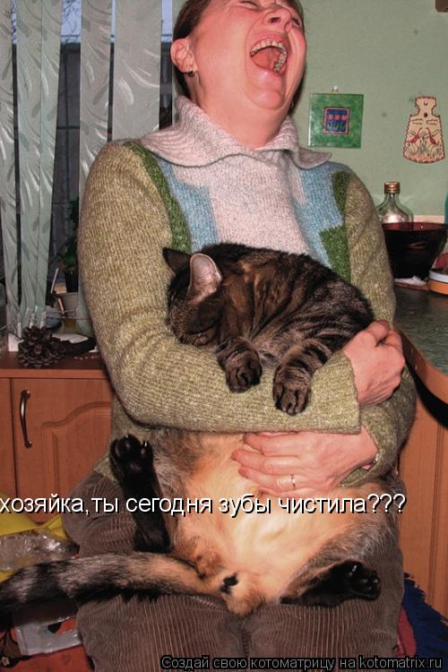хозяйка,ты сегодня зубы чистила???... Котоматрица: хозяйка,ты сегодня зубы чистила???