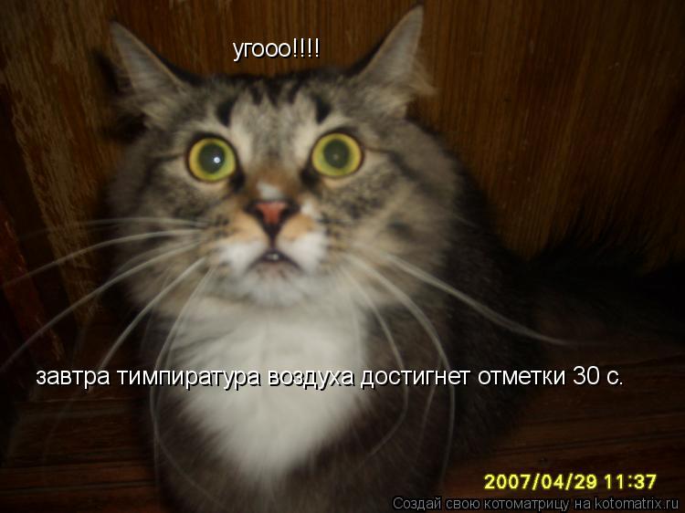 угооо!!!! завтра тимпиратура воздуха достигнет отметки 30 с.... Котоматрица: угооо!!!! завтра тимпиратура воздуха достигнет отметки 30 с.