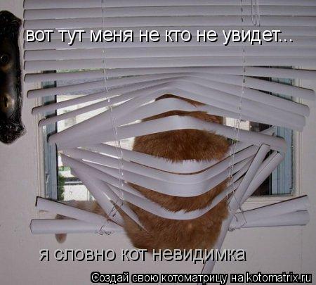 вот тут меня не кто не увидет... я cловно кот невидимка... Котоматрица: вот тут меня не кто не увидет... я cловно кот невидимка