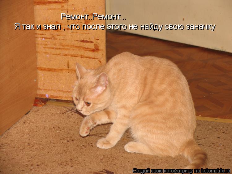 Ремонт..Ремонт... Я так и знал , что после этого не найду свою заначку... Котоматрица: Ремонт..Ремонт... Я так и знал , что после этого не найду свою заначку