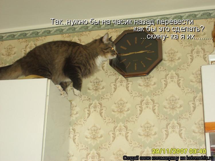Так..нужно бы на часик назад перевести как бы э как бы это сделать? ...скину- ка я их............ Котоматрица: Так..нужно бы на часик назад перевести как бы э как бы это сделать? ...скину- ка я их.........