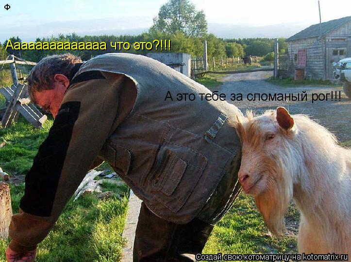 А это тебе за сломаный рог!!! Аааааааааааааа что это?!!!... Котоматрица: А это тебе за сломаный рог!!! Аааааааааааааа что это?!!!