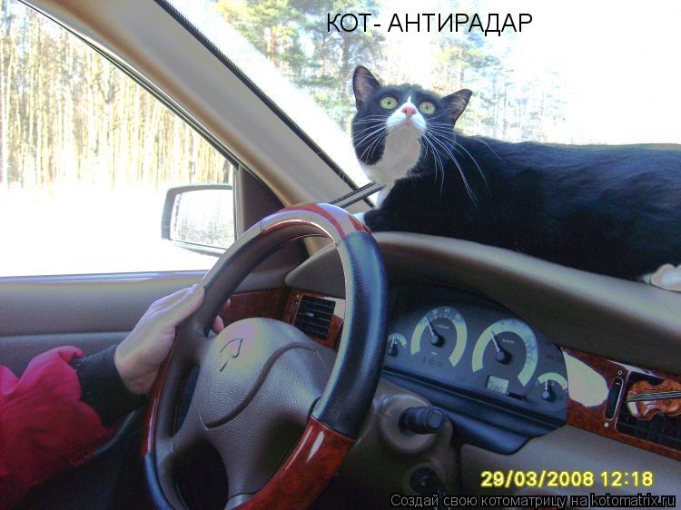 КОТ- АНТИРАДАР... Котоматрица: КОТ- АНТИРАДАР