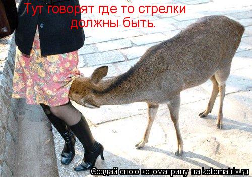Тут говорят где то стрелки должны быть.... Котоматрица: Тут говорят где то стрелки должны быть.