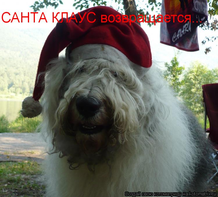 САНТА КЛАУС возвращается...... Котоматрица: САНТА КЛАУС возвращается...