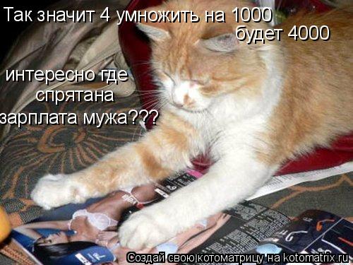 Так значит 4 умножить на 1000 будет 4000 интересно где спрятана зарплата мужа???... Котоматрица: Так значит 4 умножить на 1000 будет 4000 интересно где спрятана зарплата мужа???