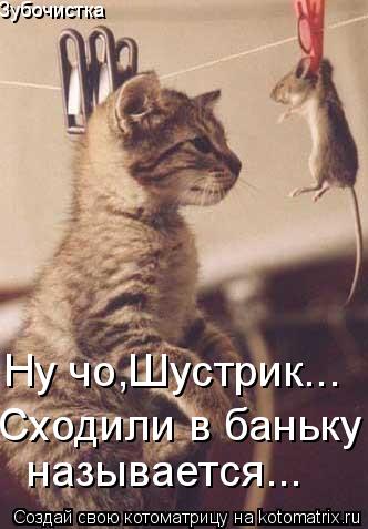 Зубочистка Ну чо,Шустрик... Сходили в баньку называется...... Котоматрица: Зубочистка Ну чо,Шустрик... Сходили в баньку называется...