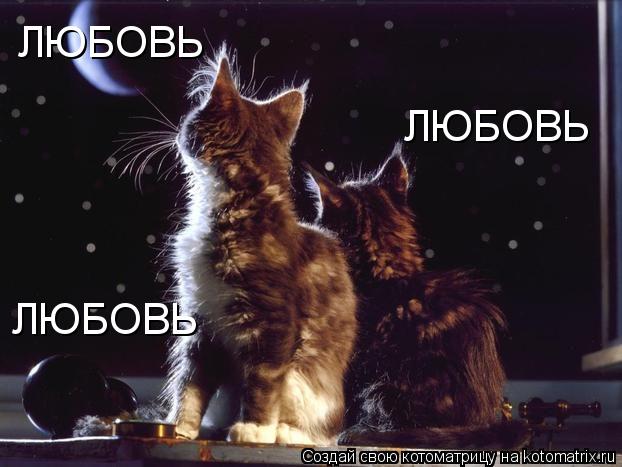 ЛЮБОВЬ ЛЮБОВЬ ЛЮБОВЬ... Котоматрица: ЛЮБОВЬ ЛЮБОВЬ ЛЮБОВЬ