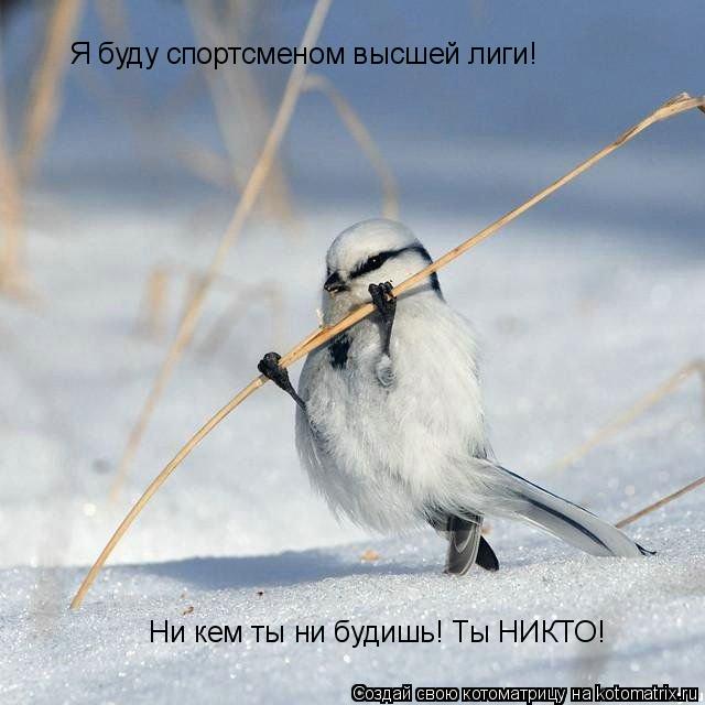 Я буду спортсменом высшей лиги! Ни кем ты ни будишь! Ты НИКТО!... Котоматрица: Я буду спортсменом высшей лиги! Ни кем ты ни будишь! Ты НИКТО!
