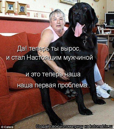Да! теперь ты вырос, и стал Настоящим мужчиной и это теперь наша наша первая проблема..... Котоматрица: Да! теперь ты вырос, и стал Настоящим мужчиной и это теперь наша наша первая проблема..