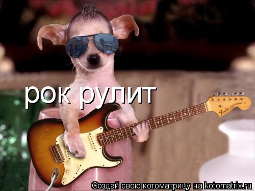 рок рулит... Котоматрица: рок рулит