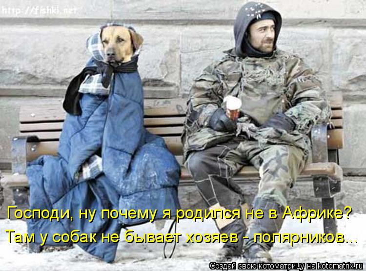Господи, ну почему я родился не в Африке? Там у собак не бывает хозяев - полярников...... Котоматрица: Господи, ну почему я родился не в Африке? Там у собак не бывает хозяев - полярников...