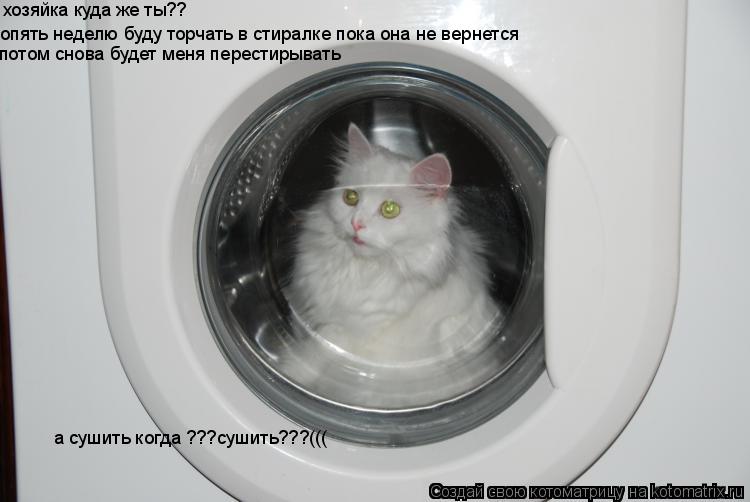 хозяйка куда же ты?? опять неделю буду торчать в стиралке пока она не вернется потом снова будет меня... Котоматрица: хозяйка куда же ты?? опять неделю буду торчать в стиралке пока она не вернется потом снова будет меня перестирывать а сушить когда ???сушить??