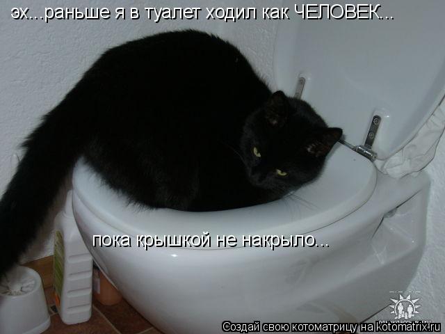 эх...раньше я в туалет ходил как ЧЕЛОВЕК...пока крышка по спине не стукнула... эх...раньше я в туалет... Котоматрица: эх...раньше я в туалет ходил как ЧЕЛОВЕК...пока крышка по спине не стукнула... эх...раньше я в туалет ходил как ЧЕЛОВЕК... пока крышкой не накрыло