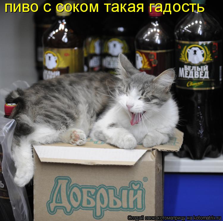 пиво с соком такая гадость... Котоматрица: пиво с соком такая гадость