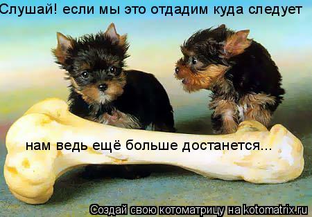Слушай! если мы это отдадим куда следует нам ведь ещё больше достанется...... Котоматрица: Слушай! если мы это отдадим куда следует нам ведь ещё больше достанется...