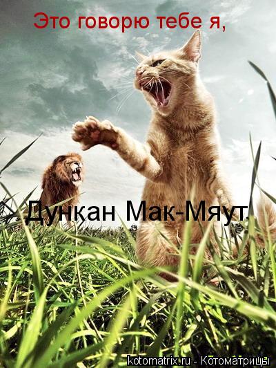 Это говорю тебе я, Дункан Мак-Мяут... Котоматрица: Это говорю тебе я, Дункан Мак-Мяут