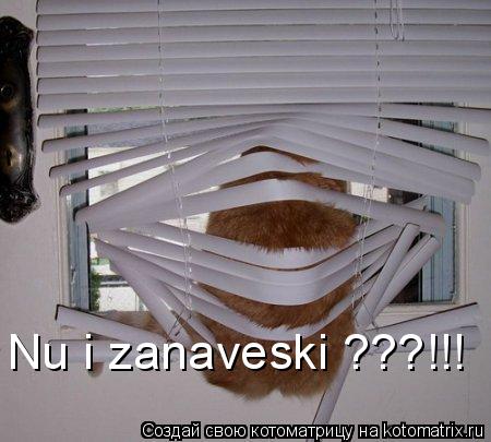 Nu i zanaveski ???!!!... Котоматрица: Nu i zanaveski ???!!!