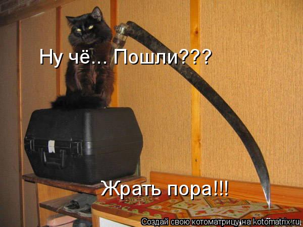 Ну чё... Пошли??? Жрать пора!!!... Котоматрица: Ну чё... Пошли??? Жрать пора!!!