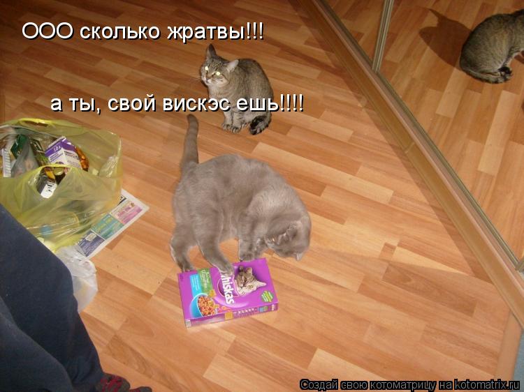 ООО сколько жратвы!!! а ты, свой вискэс ешь!!!!... Котоматрица: ООО сколько жратвы!!! а ты, свой вискэс ешь!!!!