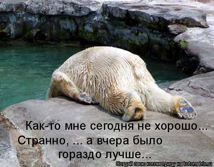 Как-то мне сегодня не хорошо... Странно, ... а вчера было гораздо лучше...... Котоматрица: Как-то мне сегодня не хорошо... Странно, ... а вчера было гораздо лучше...