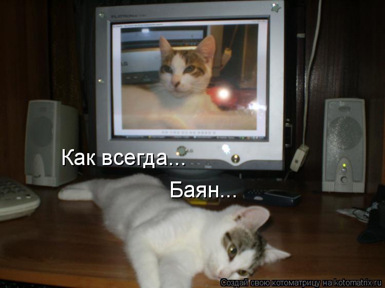 Как всегда... Баян...... Котоматрица: Как всегда... Баян...