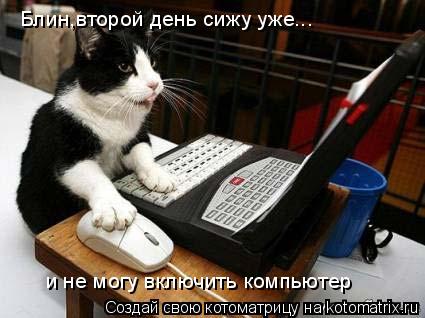Блин,второй день сижу уже... и не могу включить компьютер... Котоматрица: Блин,второй день сижу уже... и не могу включить компьютер
