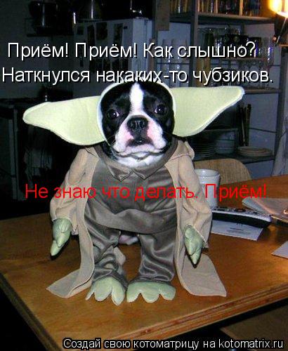 Приём! Приём! Как слышно ? Наткнулся накаких-то чубзиков. Не знаю что делать. Приём!... Котоматрица: Приём! Приём! Как слышно ? Наткнулся накаких-то чубзиков. Не знаю что делать. Приём!