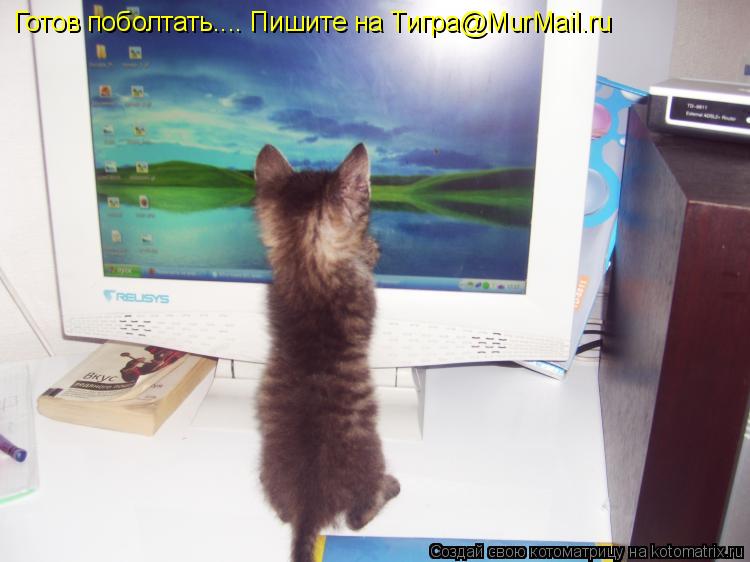 Готов поболтать.... Пишите на Тигра@MurMail.ru... Котоматрица: Готов поболтать.... Пишите на Тигра@MurMail.ru