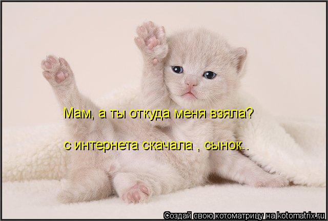 Мам, а ты откуда меня взяла? с интернета скачала , сынок..... Котоматрица: Мам, а ты откуда меня взяла? с интернета скачала , сынок..