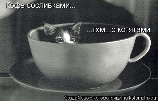 Кофе сосливками... ...гхм...с котятами... Котоматрица: Кофе сосливками... ...гхм...с котятами