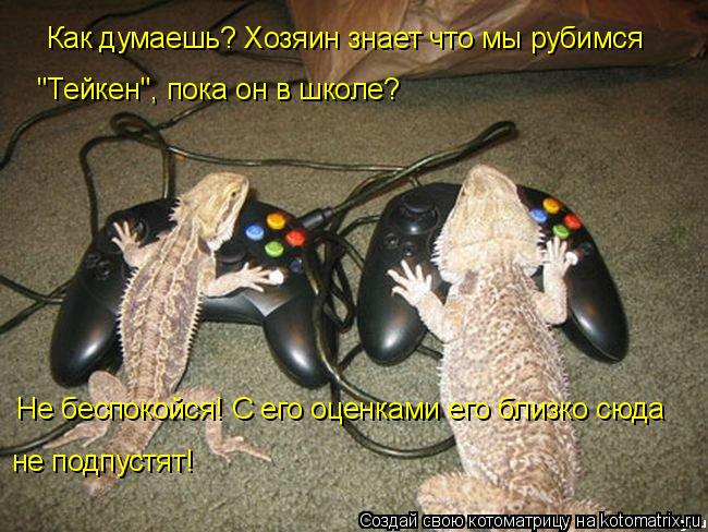 Как думаешь? Хозяин знает что мы рубимся "Тейкен", пока он в школе? Не беспокойся! С его оценками его... Котоматрица: Как думаешь? Хозяин знает что мы рубимся "Тейкен", пока он в школе? Не беспокойся! С его оценками его близко сюда не подпустят!