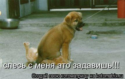 слесь с меня ато задавишь!!!... Котоматрица: слесь с меня ато задавишь!!!