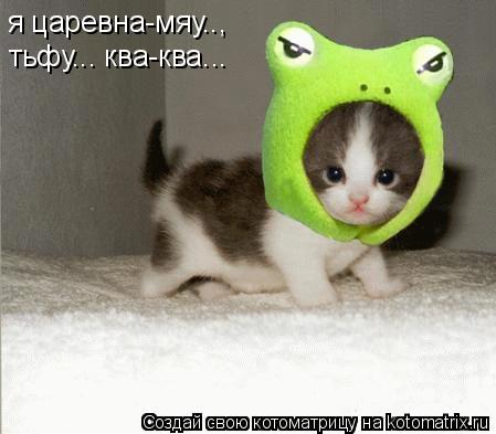 я царевна-мяу.., тьфу... ква-ква...... Котоматрица: я царевна-мяу.., тьфу... ква-ква...