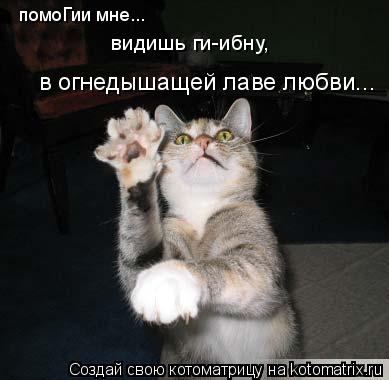 в огнедышащей лаве любви... помоГии мне... видишь ги-ибну,... Котоматрица: в огнедышащей лаве любви... помоГии мне... видишь ги-ибну,
