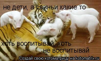 не дети, а свиньи какие то хоть воспитывай, хоть не воспитывай... Котоматрица: не дети, а свиньи какие то хоть воспитывай, хоть не воспитывай