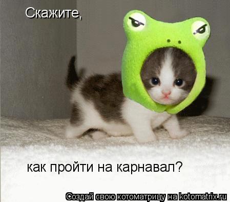 Скажите, как пройти на карнавал?... Котоматрица: Скажите, как пройти на карнавал?