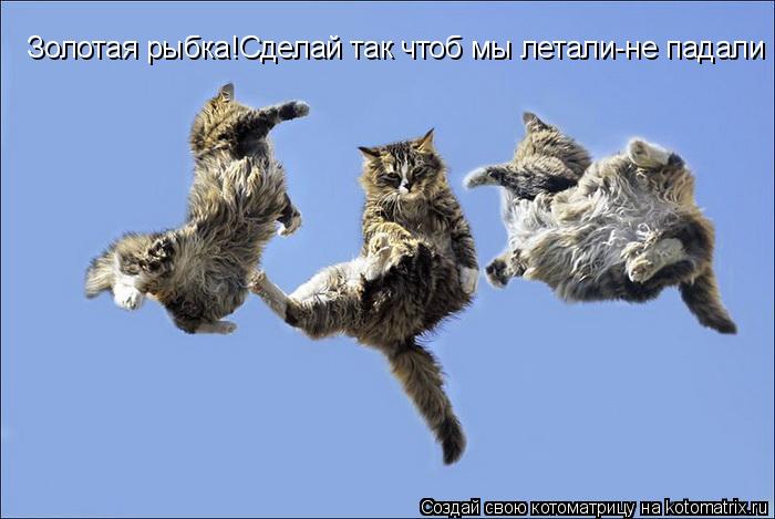 Золотая рыбка!Сделай так чтоб мы летали-не падали... Котоматрица: Золотая рыбка!Сделай так чтоб мы летали-не падали