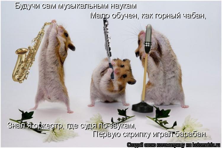 Будучи сам музыкальным наукам Мало обучен, как горный чабан, Знал я оркестр, где судя по звукам, Пе... Котоматрица: Будучи сам музыкальным наукам Мало обучен, как горный чабан, Знал я оркестр, где судя по звукам, Первую скрипку играл барабан.