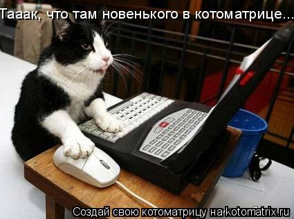 Тааак, что там новенького в котоматрице........ Котоматрица: Тааак, что там новенького в котоматрице.....
