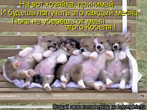 На вот хозяйка, принимай И будешь получать это каждый месяц Пока не уберёшь от меня этого Кобеля !... Котоматрица: На вот хозяйка, принимай И будешь получать это каждый месяц Пока не уберёшь от меня этого Кобеля !