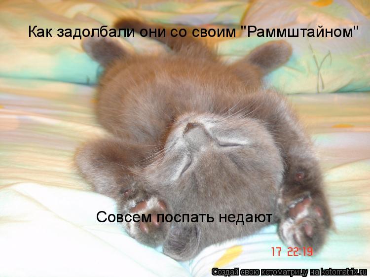 Как задолбали они со своим "Раммштайном" Совсем поспать недают... Котоматрица: Как задолбали они со своим "Раммштайном" Совсем поспать недают