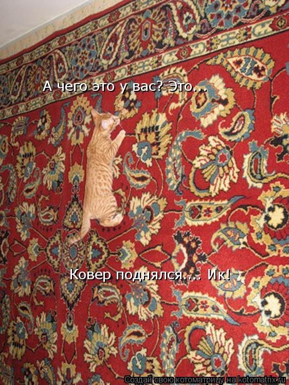 А чего это у вас? Это... Ковер поднялся.... Ик!... Котоматрица: А чего это у вас? Это... Ковер поднялся.... Ик!