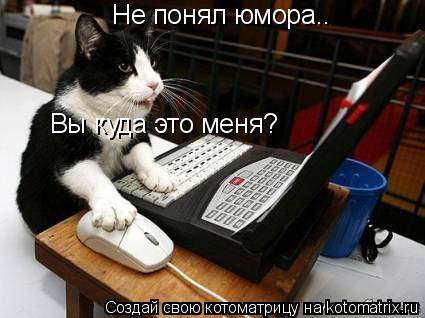 Не понял юмора.. Вы куда это меня?... Котоматрица: Не понял юмора.. Вы куда это меня?
