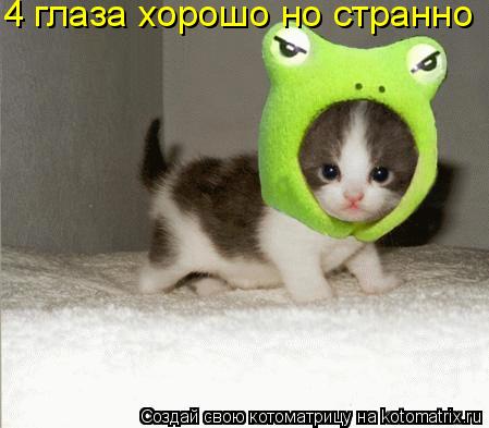 4 глаза хорошо но странно... Котоматрица: 4 глаза хорошо но странно